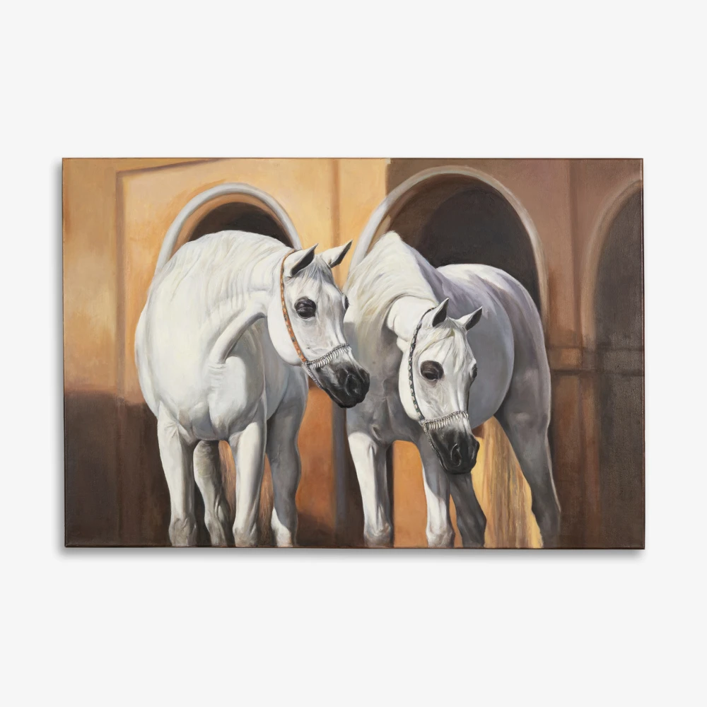 Arabian Horses